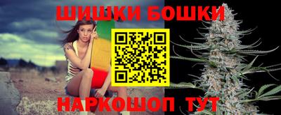 стаф Будённовск