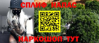 стаф Будённовск