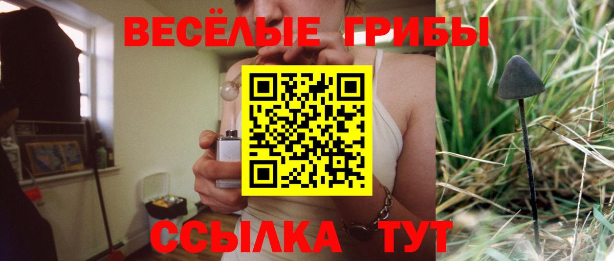 Сердобск  Галлюциногенные грибы мицелий  Галлюциногенные грибы Magic Shrooms  Вход с VPN 