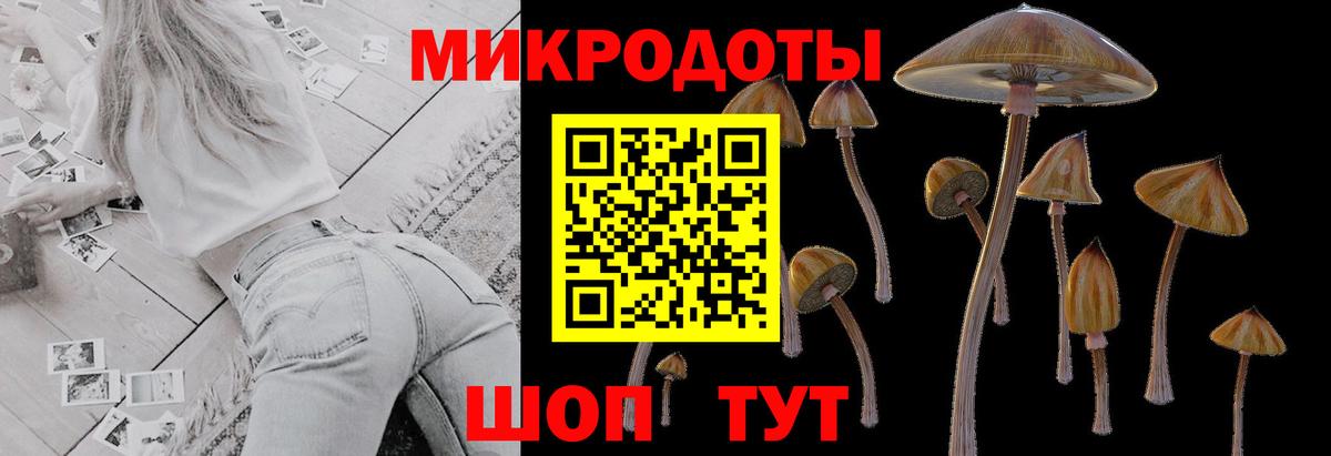 Псилоцибиновые грибы Cubensis Сердобск